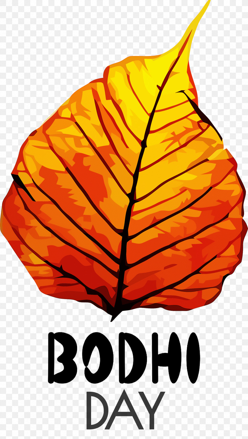 Bodhi Day Bodhi, PNG, 1697x3000px, Bodhi Day, Barley, Bodhi, Leaf, Plants Download Free