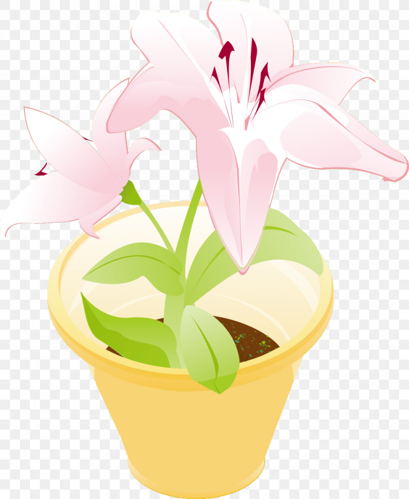 Flower Floral Vase, PNG, 975x1188px, Flower, Amaryllis Belladonna, Anthurium, Cattleya, Cut Flowers Download Free