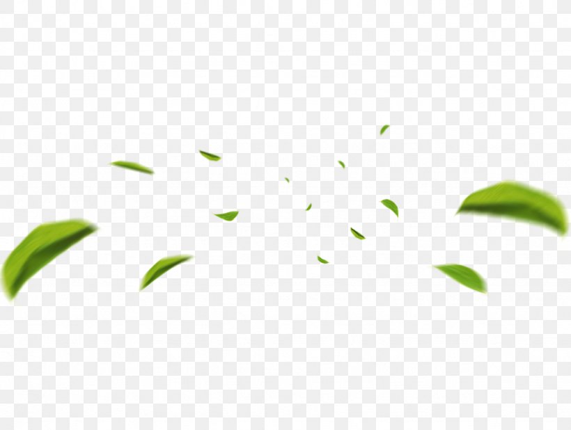 Clip Art Image Leaf JPEG, PNG, 1024x772px, Leaf, Branch, Comparazione Di File Grafici, Grass, Green Download Free