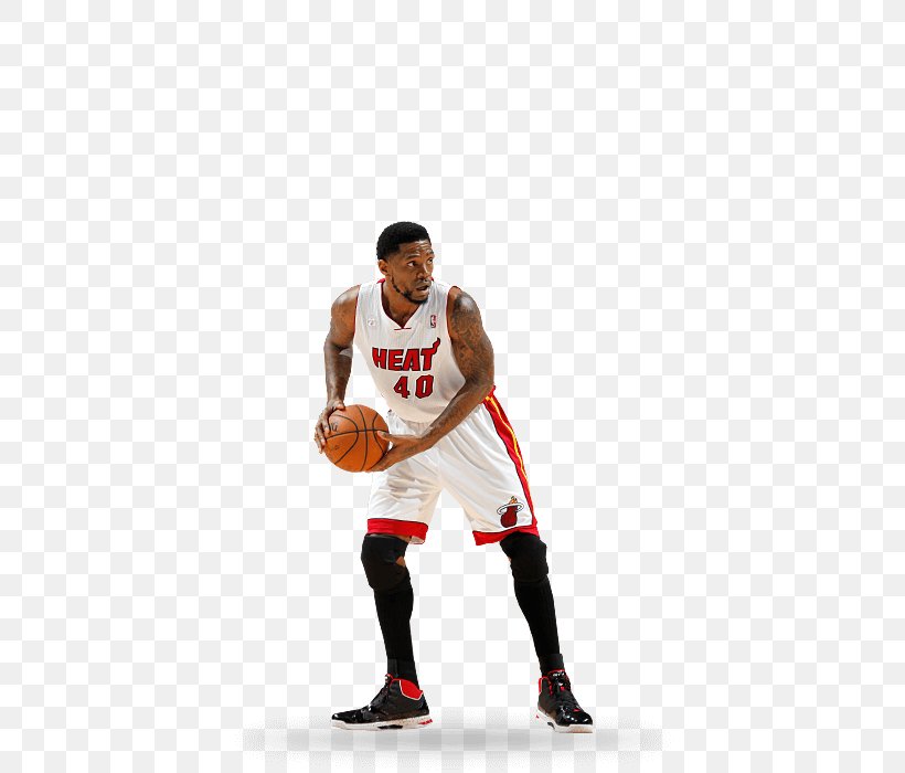 American Airlines Arena Basketball Player Miami Heat NBA, PNG, 440x700px, Watercolor, Cartoon, Flower, Frame, Heart Download Free
