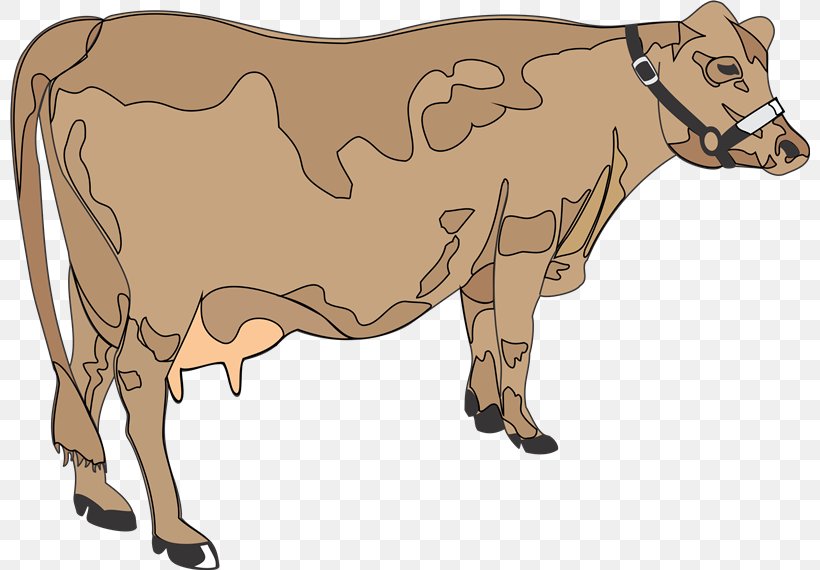 Dairy Cattle Ox Taurine Cattle Bull Clip Art, PNG, 800x570px, Dairy Cattle, Animaatio, Animal, Animal Figure, Blog Download Free