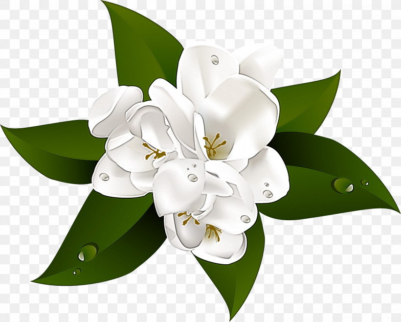 Floral Design, PNG, 3000x2409px, Floral Design, Biology, Cut Flowers, Flower, Flower Bouquet Download Free