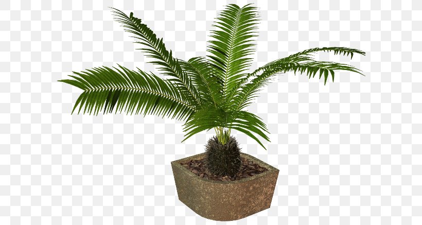 Flowerpot Houseplant Вазон, PNG, 600x437px, Flowerpot, Arecales, Coconut, Cycad, Date Palm Download Free