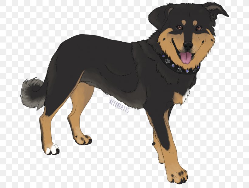 Huntaway Puppy Dog Breed Labrador Retriever Papillon Dog, PNG, 700x619px, Huntaway, Art, Breed, Carnivoran, Deviantart Download Free