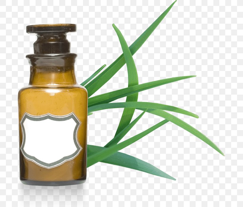 Organic Food Essential Oil Cymbopogon Citratus Cymbopogon Martinii, PNG, 700x700px, Organic Food, Argan Oil, Aromatherapy, Blackcurrant, Bottle Download Free