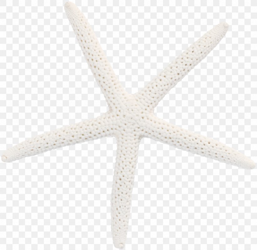 Starfish Pattern, PNG, 1024x998px, Starfish, Beige, Echinoderm, Marine Invertebrates, White Download Free