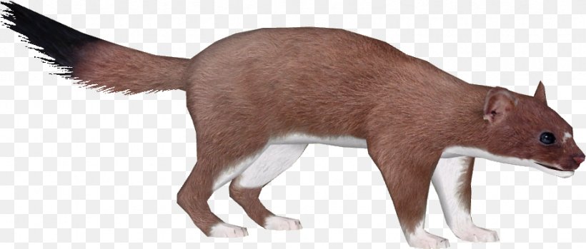 Animal Figure Tail Recreation Wildlife Liver, PNG, 922x393px, Animal Figure, Fur, Liver, Recreation, Tail Download Free