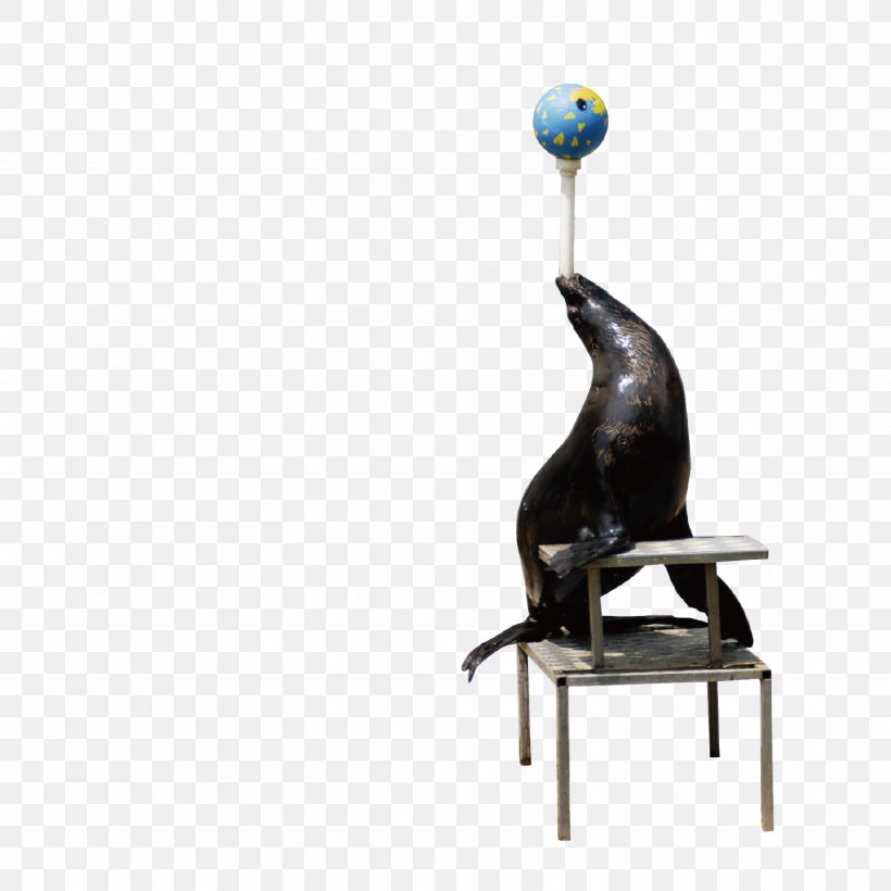 Earless Seal Sea Lion, PNG, 1500x1500px, Earless Seal, Designer, Floor, Flooring, Google Images Download Free