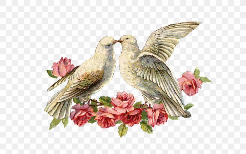 Cloth Napkins Lovebird Wedding Invitation Paper Rose, PNG, 1600x1006px, Cloth Napkins, Beak, Bird, Bridal Shower, Fauna Download Free