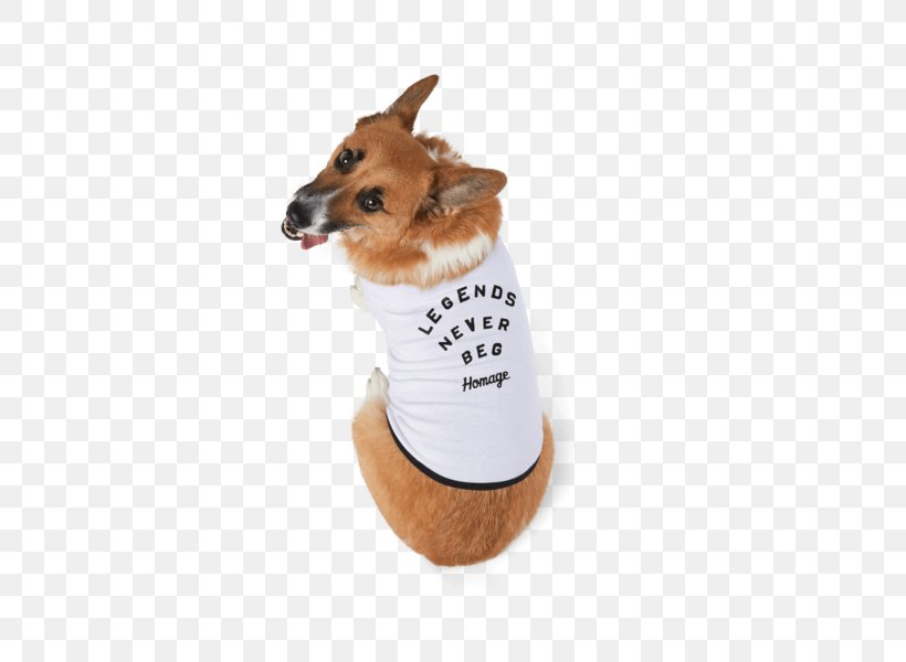 Dog Breed Puppy Companion Dog Dog Clothes, PNG, 600x600px, Dog Breed, Breed, Clothing, Companion Dog, Dog Download Free
