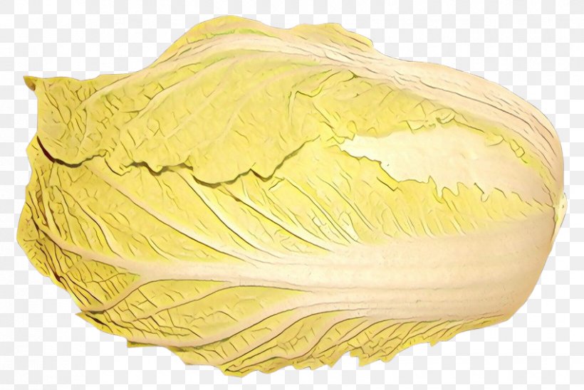 Vegetable Cartoon, PNG, 850x569px, Vegetable, Cabbage, Commodity, Feather, Food Download Free