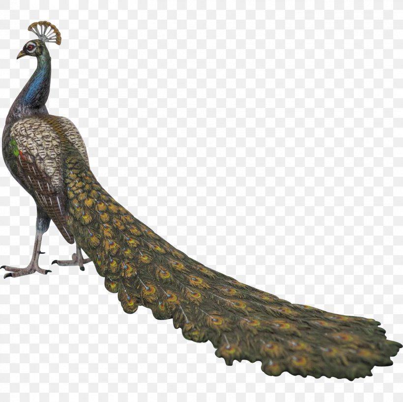 Bird Feather Galliformes Beak Tail, PNG, 1464x1464px, Bird, Beak, Feather, Galliformes, Tail Download Free