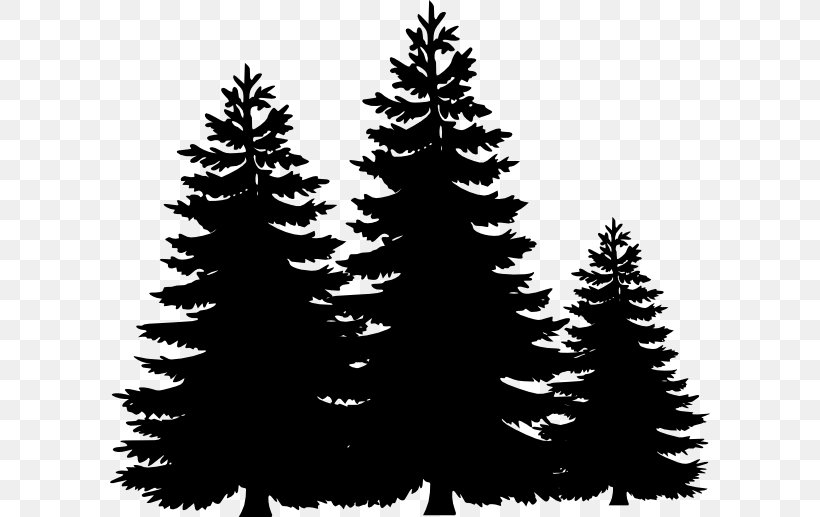 Christmas Black And White, PNG, 600x517px, Pine, American Larch, Balsam Fir, Biome, Black Download Free