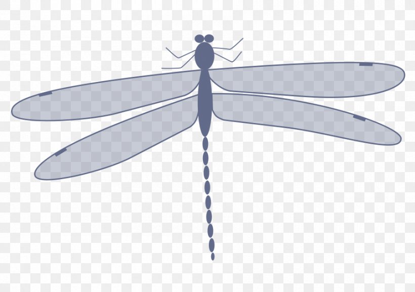 Dragonfly Clip Art, PNG, 900x634px, Dragonfly, Animation, Arthropod, Cartoon, Dragonflies And Damseflies Download Free