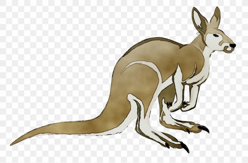 Kangaroo Dog Hare Mammal Canidae, PNG, 991x655px, Kangaroo, Animal, Animal Figure, Canidae, Cartoon Download Free