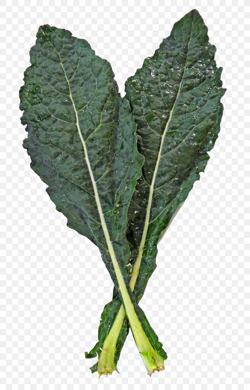 Lacinato Kale Spring Greens Cabbage Collard Greens Leaf Vegetable, PNG, 762x1280px, Lacinato Kale, Brassica Oleracea, Brussels Sprout, Cabbage, Collard Greens Download Free