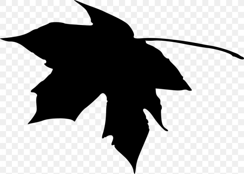 Vector Graphics Silhouette Clip Art Transparency, PNG, 1024x730px, Silhouette, Black, Blackandwhite, Leaf, Maple Leaf Download Free