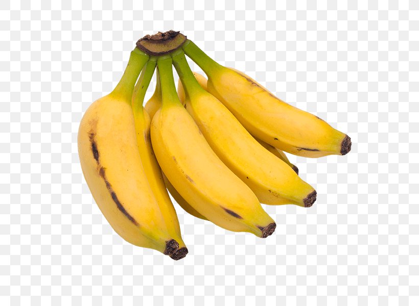 Saba Banana Cooking Banana Dwarf Cavendish Banana Musa Acuminata, PNG, 600x600px, Saba Banana, Apple, Banana, Banana Family, Cooking Banana Download Free