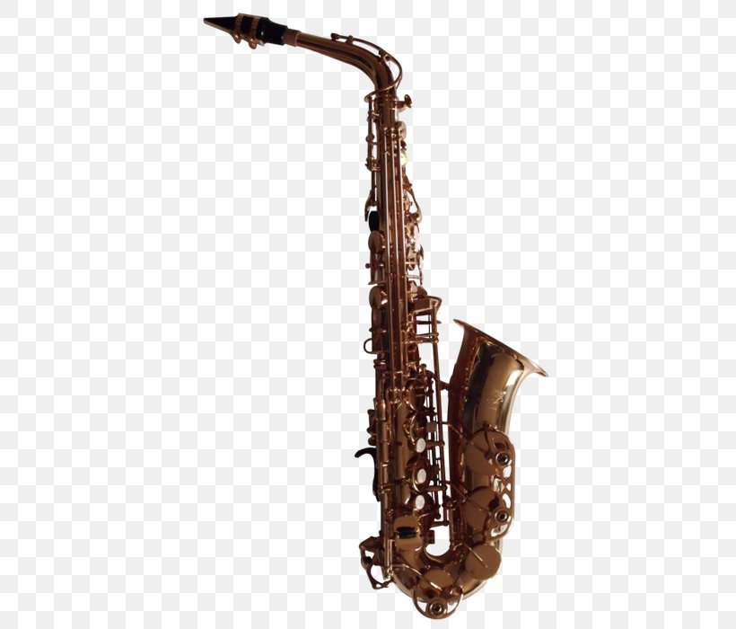 Baritone Saxophone Musical Instrument, PNG, 700x700px, Watercolor, Cartoon, Flower, Frame, Heart Download Free