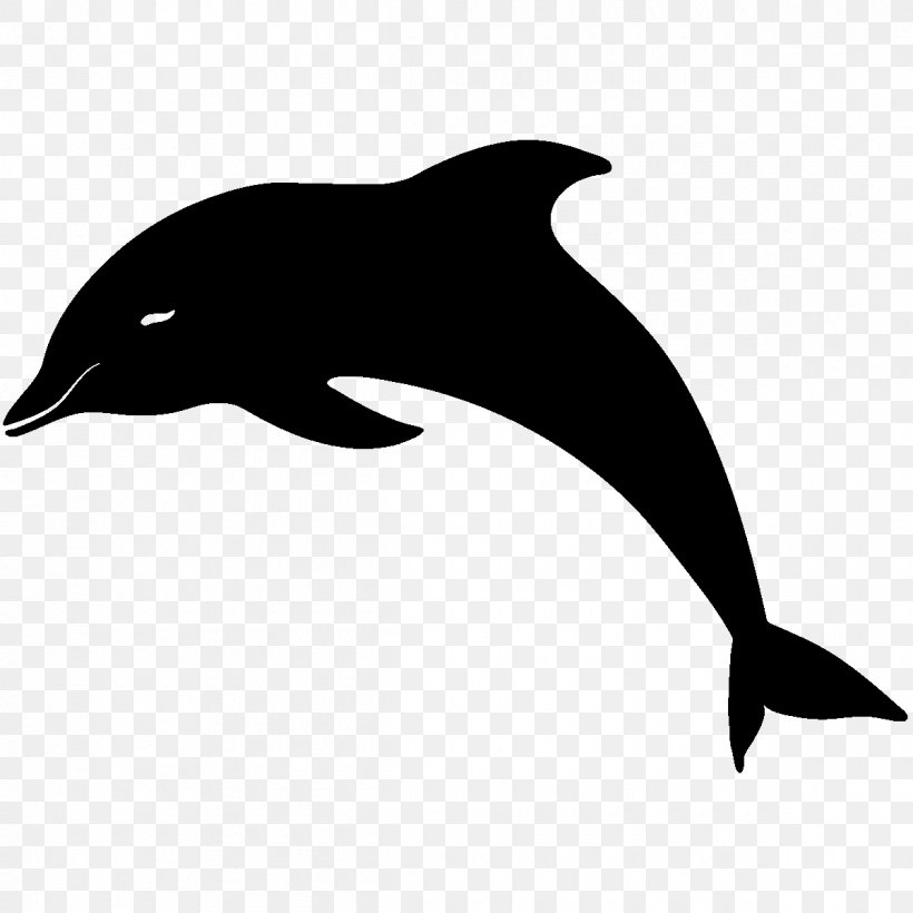Bottlenose Dolphin Drawing Clip Art, PNG, 1200x1200px, Dolphin, Art, Beak, Bird, Black And White Download Free