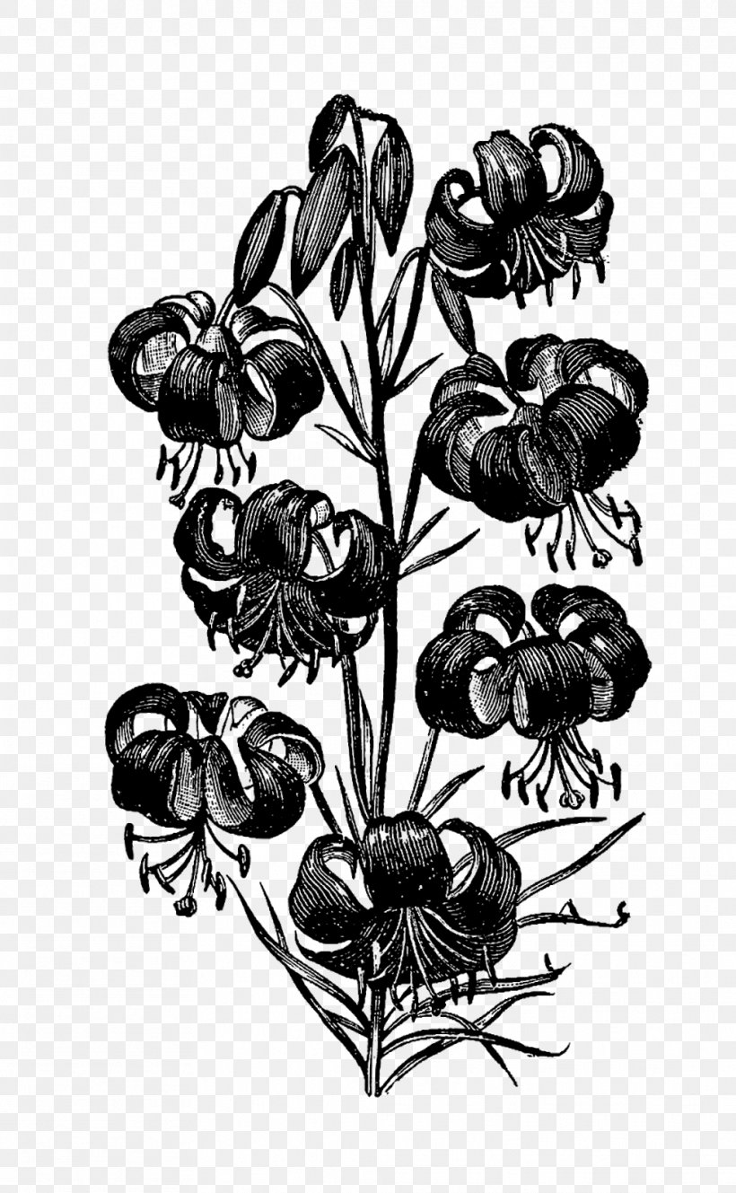 Flower Drawing Clip Art, PNG, 987x1600px, Flower, Black And White, Botany, Digital Image, Drawing Download Free
