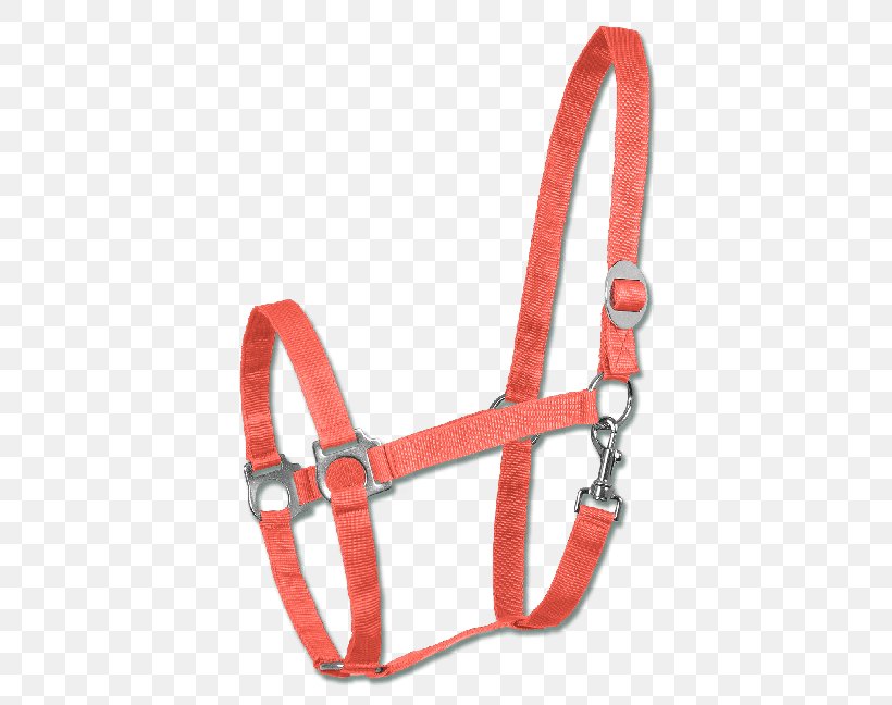 Horse Halter Rope Equestrian Sport, PNG, 567x648px, Horse, Climbing Harness, Equestrian, Equestrian Sport, Fashion Accessory Download Free