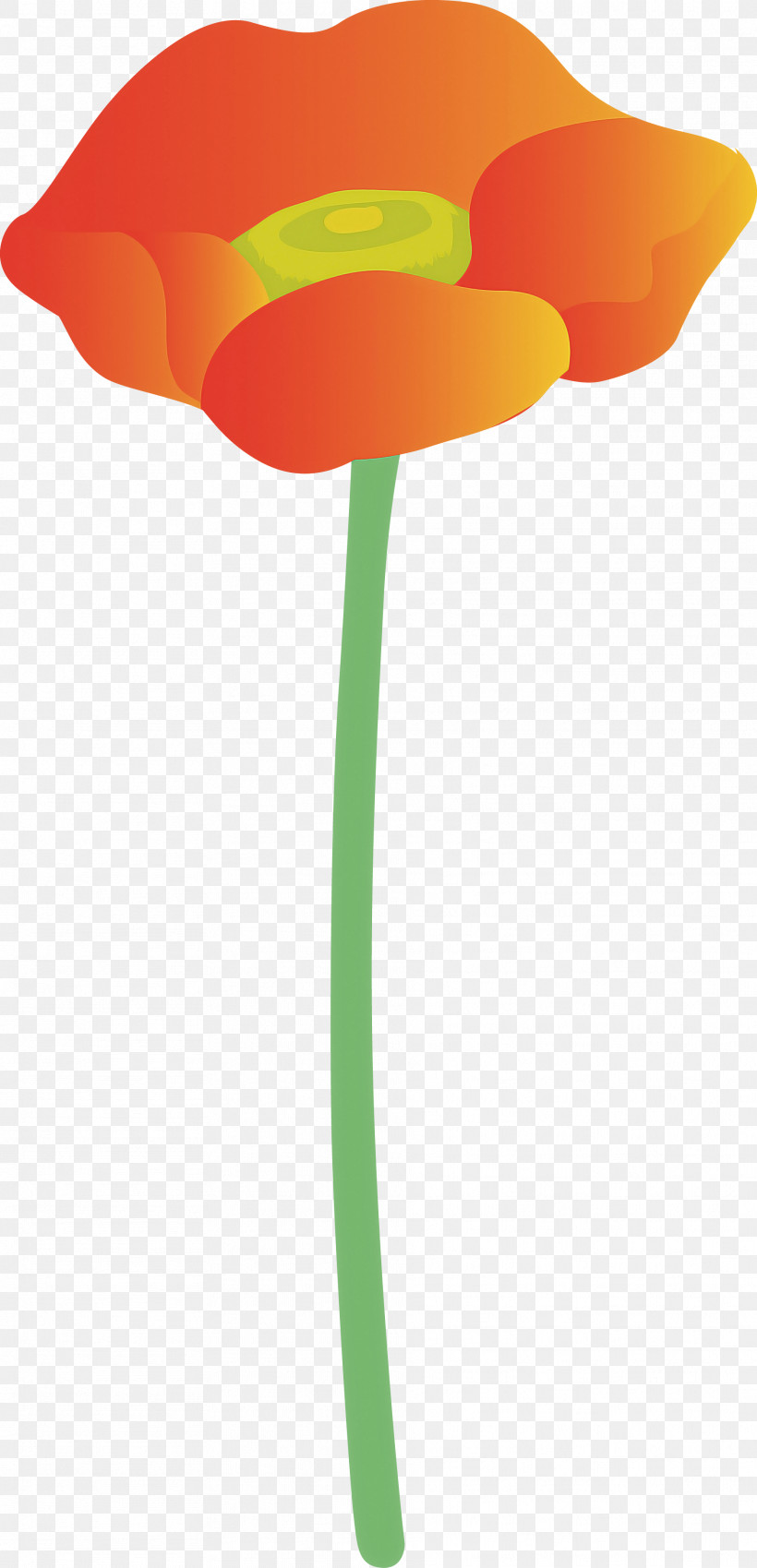 Orange, PNG, 1872x3879px, Orange, Balloon, Cut Flowers, Flower, Lily Family Download Free