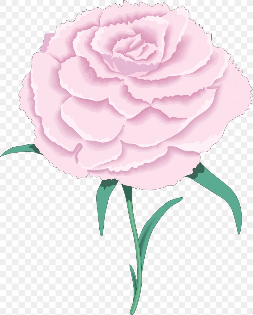 Rose Flower Clip Art, PNG, 2335x2911px, Rose, Botany, Camellia, Carnation, Cut Flowers Download Free
