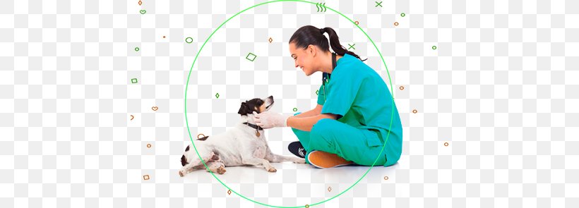 Dog Veterinarian Veterinary Medicine Pet Surgery, PNG, 450x295px, Dog, Animal, Animal Husbandry, Carnivoran, Cat Download Free