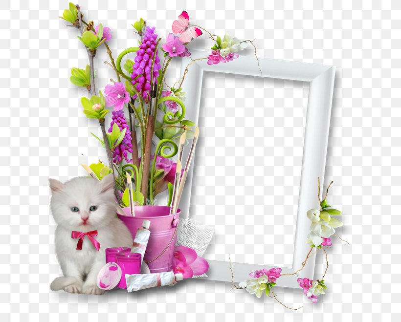 Friday Wish YouTube Blessing, PNG, 650x659px, Friday, Blessing, Cat, Cut Flowers, Floral Design Download Free
