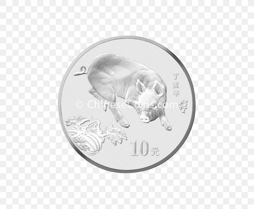 Coin Silver Circle Animal, PNG, 675x675px, Coin, Animal, Currency, Money, Silver Download Free