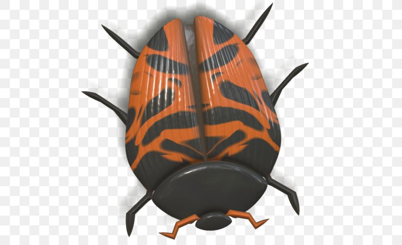 Ladybird Beetle Seven-spot Ladybird, PNG, 500x500px, Beetle, Animal, Biedronka, Insect, Invertebrate Download Free