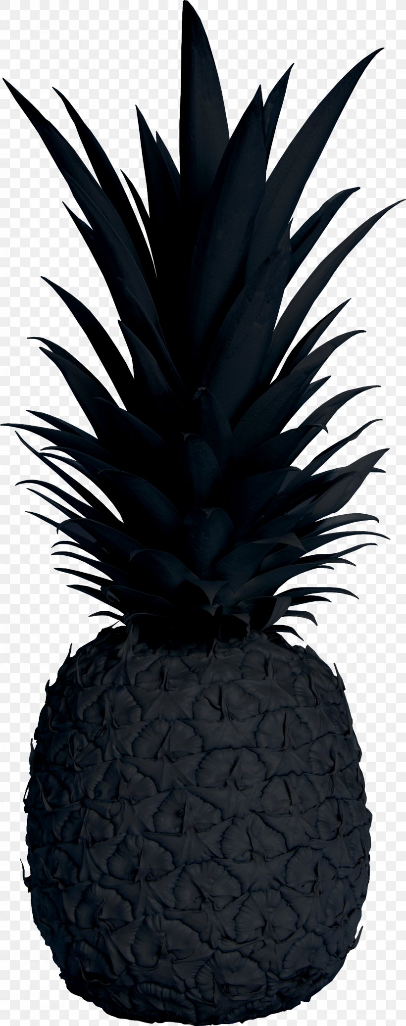 Pineapple Public Relations Black Pineapple Co Grey, PNG, 1272x3217px, Pineapple, Ananas, Black, Business, Chamblee Download Free