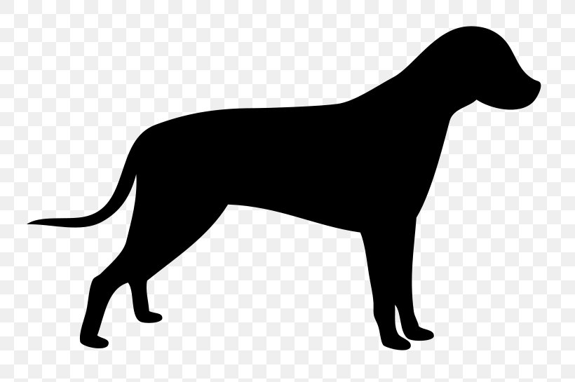 Pointer Scottish Terrier Beagle Pug Clip Art, PNG, 800x545px, Pointer, Beagle, Bird Dog, Black, Black And White Download Free