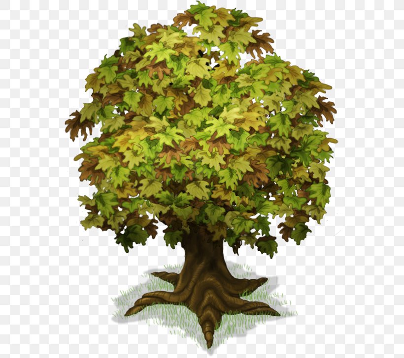 Tree Plant Trunk, PNG, 564x728px, Tree, Barringtonia, Barringtonia Asiatica, Epipremnum, Flowerpot Download Free