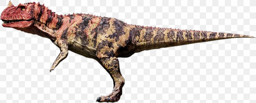 Ceratosaurus Jurassic Park: Operation Genesis Spinosaurus Parasaurolophus, PNG, 1082x436px, Ceratosaurus, Animal Figure, Compsognathus, Dinosaur, Film Download Free