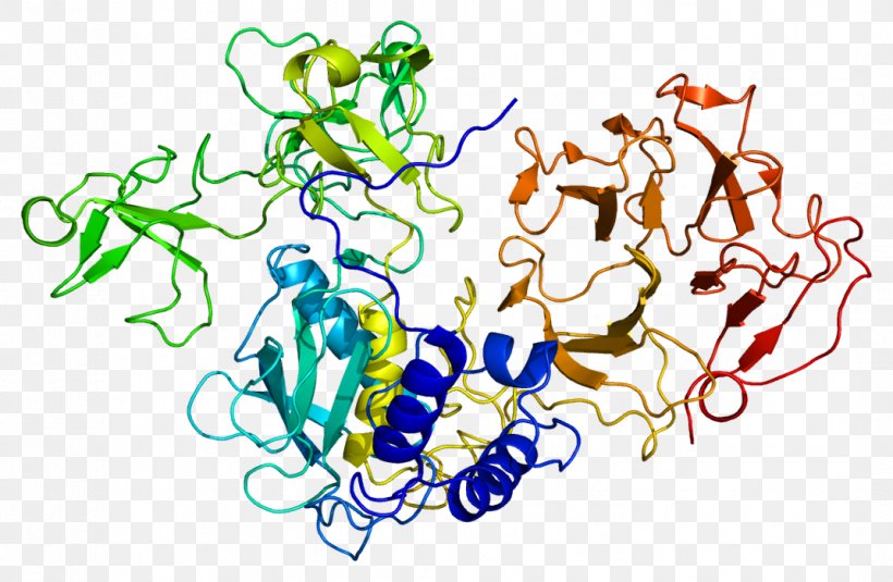 MMP2 Matrix Metalloproteinase Protease Gelatinase Extracellular Matrix, PNG, 1071x700px, Matrix Metalloproteinase, Art, Chromosome 16, Collagenase, Enzyme Download Free