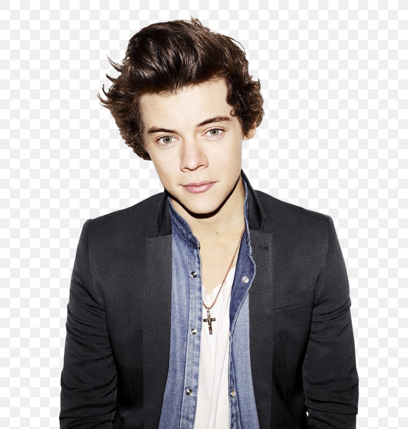 Harry Styles: Live On Tour The X Factor One Direction Photo Shoot, PNG, 700x864px, Watercolor, Cartoon, Flower, Frame, Heart Download Free