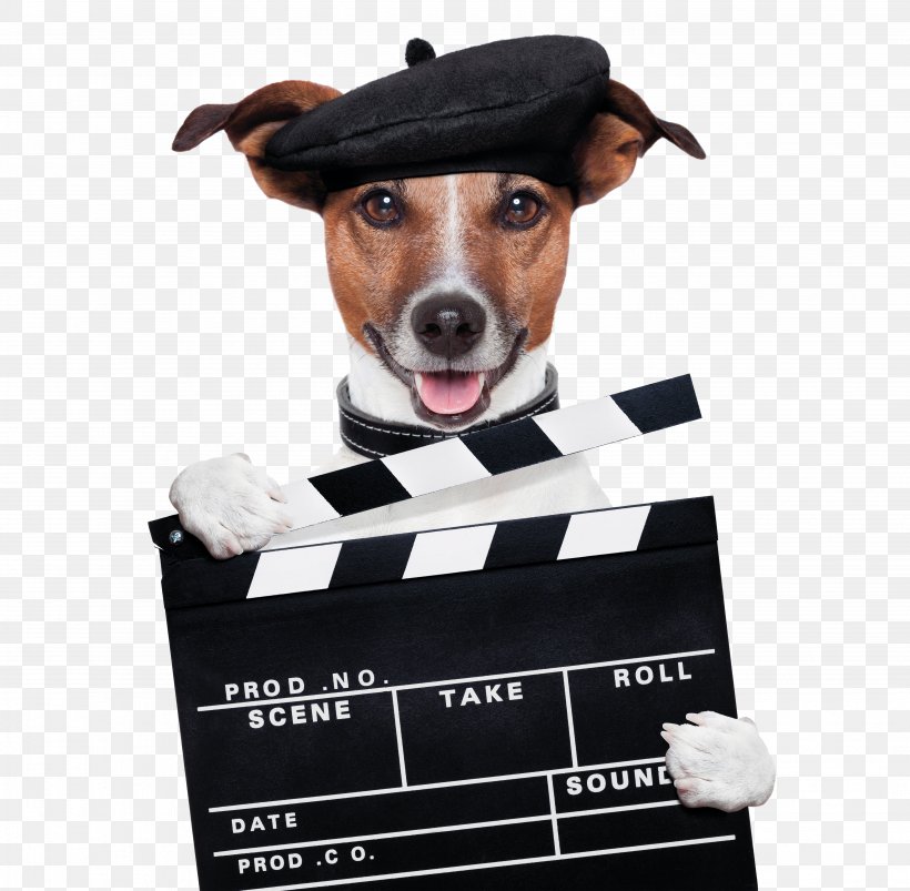 Holding The Sign Of The Dog Card, PNG, 5352x5244px, Dog, Canvas Print, Cinema, Clapperboard, Dog Breed Download Free