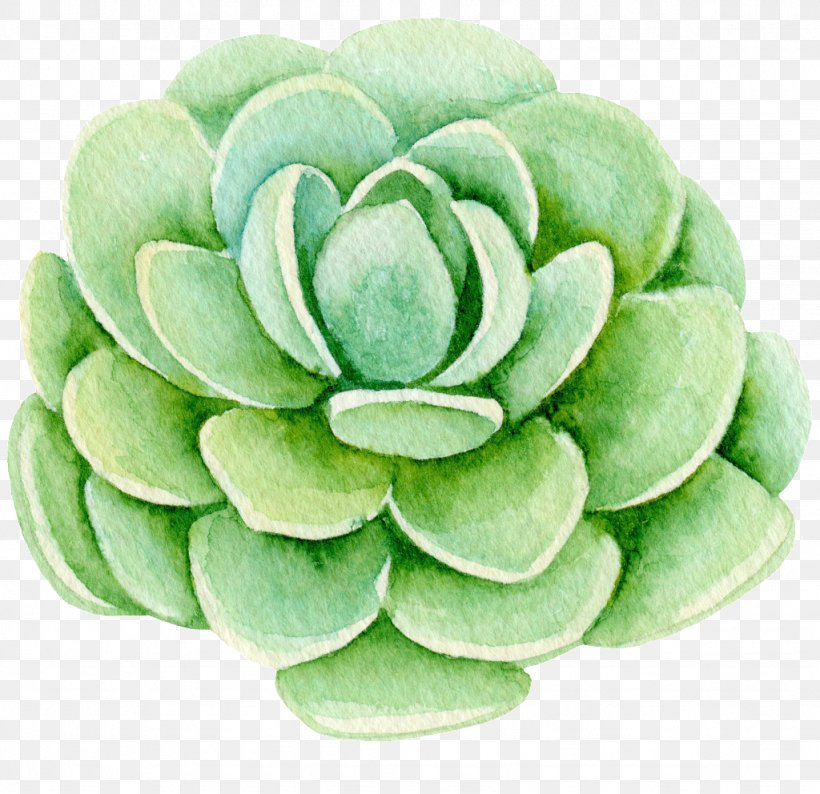 Succulent Plant Flower Clip Art, PNG, 1024x992px, Succulent Plant, Cut Flowers, Flower, Flowerpot, Marigold Download Free