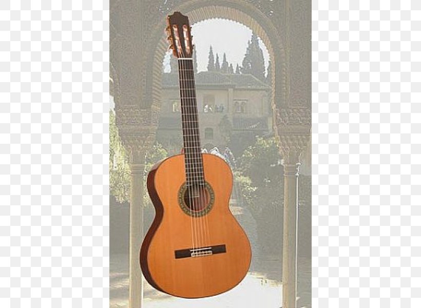 Acoustic Guitar Tiple Guitar Amplifier Cuatro Bass Guitar, PNG, 600x600px, Watercolor, Cartoon, Flower, Frame, Heart Download Free