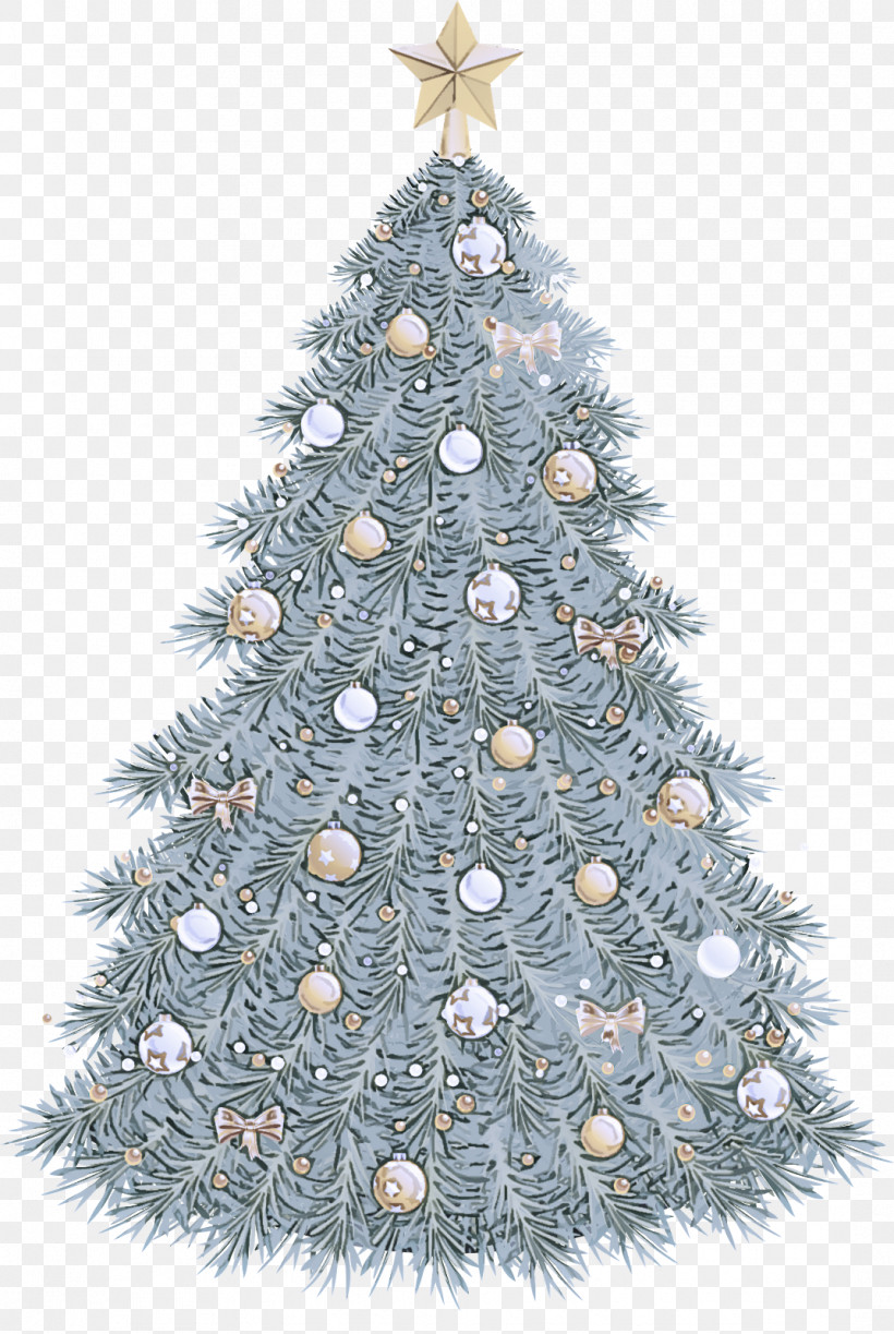 Christmas Tree, PNG, 1072x1600px, Christmas Tree, American Larch, Balsam Fir, Branch, Christmas Download Free