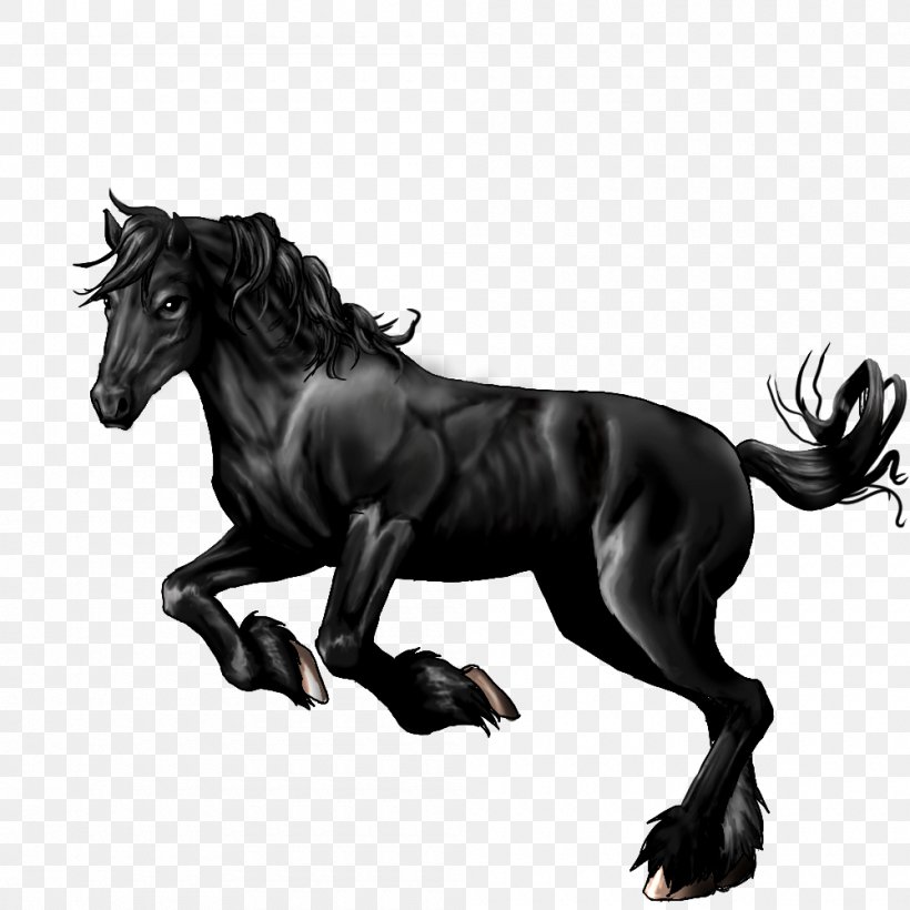 Mustang Stallion Pony Halter English Riding, PNG, 1000x1000px, Mustang, Black And White, English Riding, Equestrian, Fictional Character Download Free