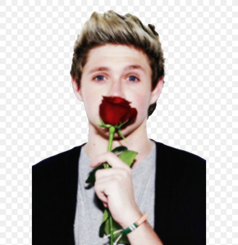 Niall Horan One Direction Over Again, PNG, 600x844px, Watercolor, Cartoon, Flower, Frame, Heart Download Free