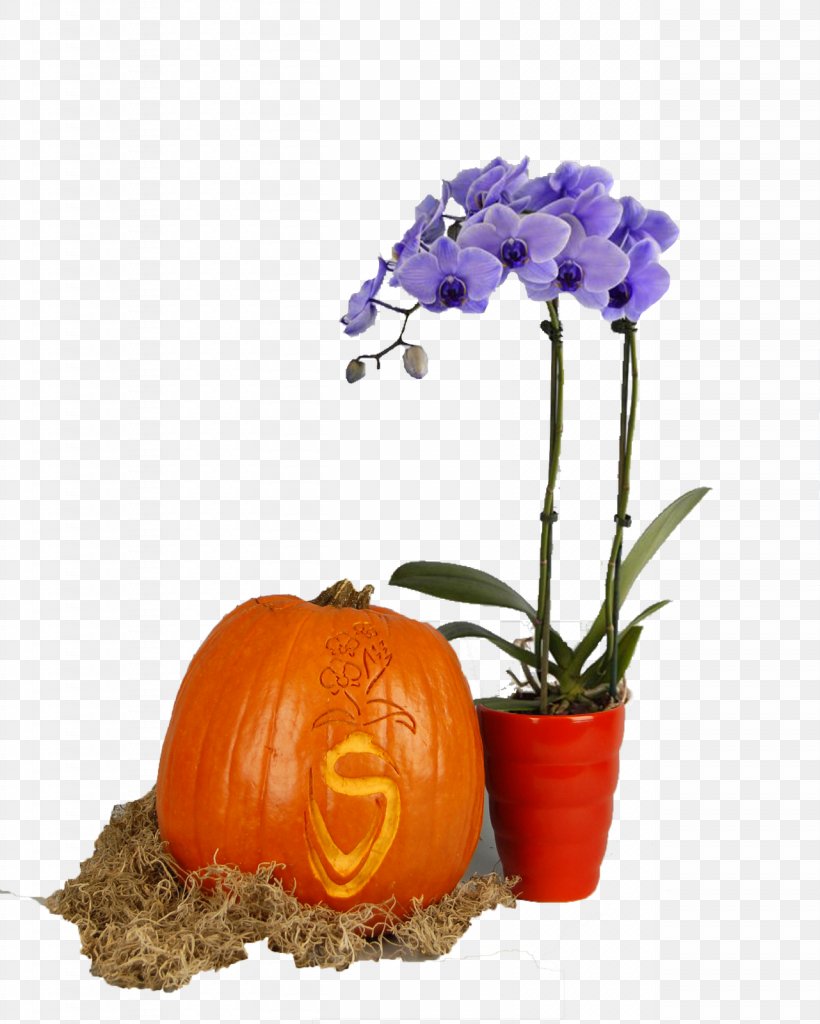 Pumpkin Floristry Cut Flowers Flowerpot, PNG, 1281x1600px, Pumpkin, Cucurbita, Cut Flowers, Floristry, Flower Download Free