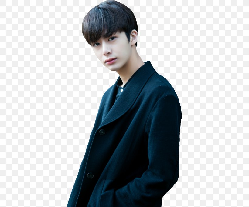 Wonho Monsta X DRAMARAMA K-pop Long Hair, PNG, 379x683px, Wonho, Bangs, Black Hair, Dramarama, Gentleman Download Free