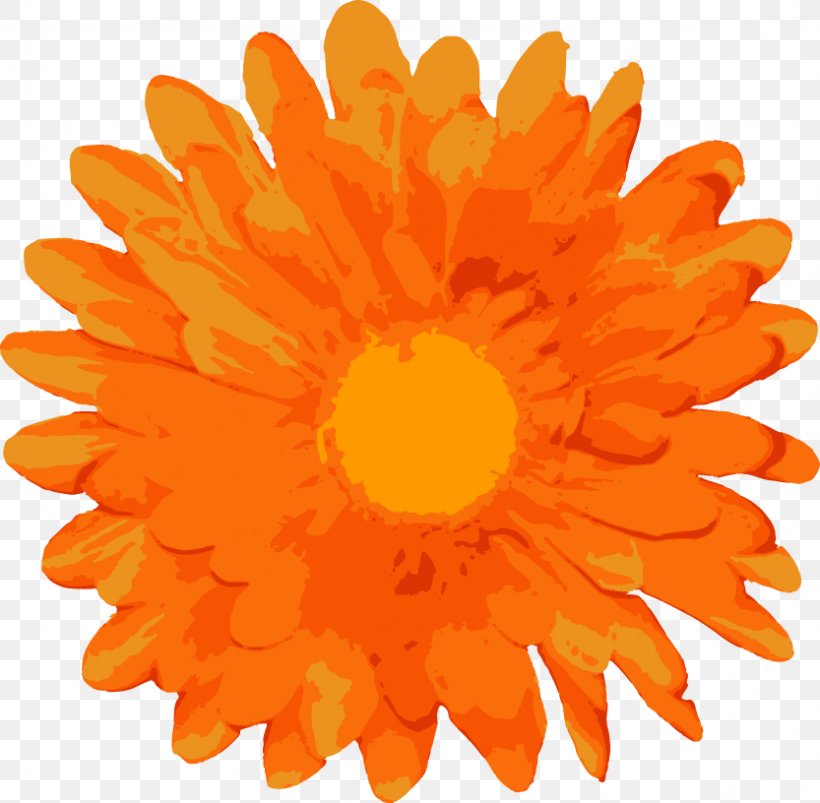 Flower Euclidean Vector Clip Art, PNG, 833x816px, Flower, Calendula, Chrysanths, Daisy Family, Marigold Download Free