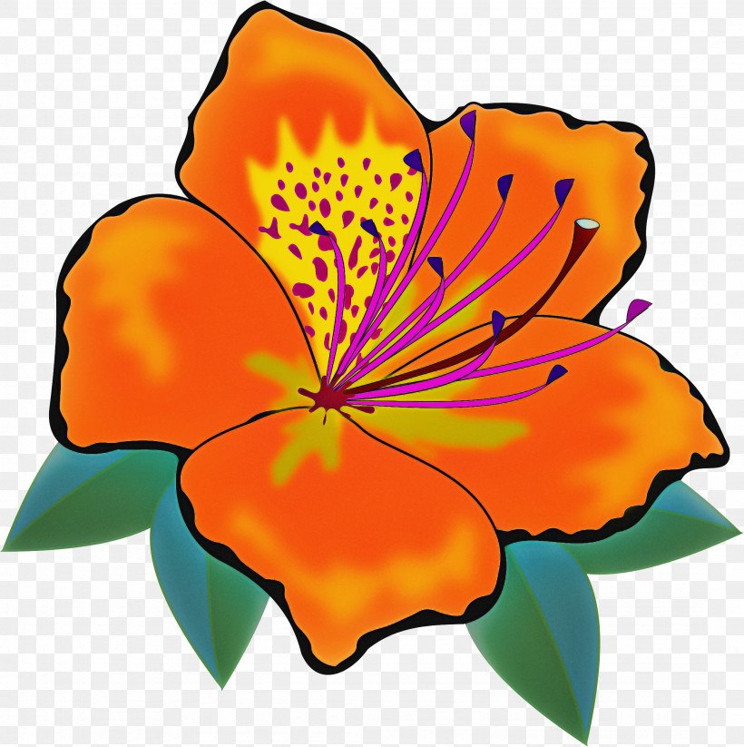 Orange, PNG, 2155x2164px, Petal, Flower, Herbaceous Plant, Orange, Plant Download Free