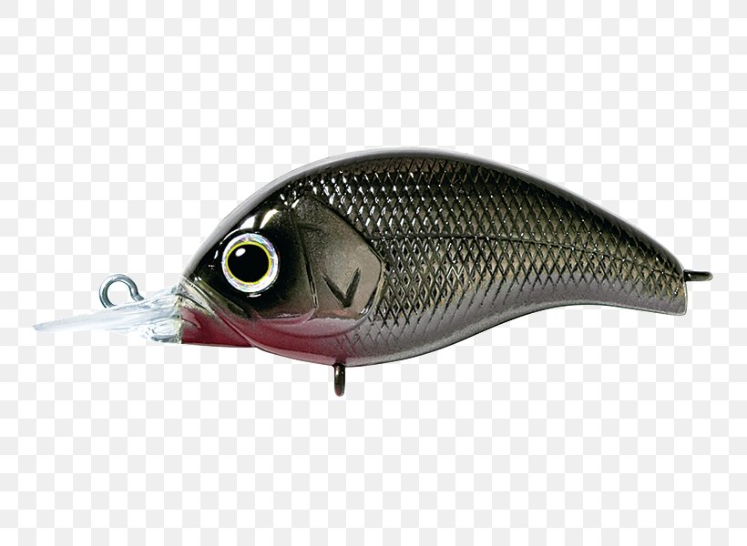 Spoon Lure Oily Fish Perch AC Power Plugs And Sockets, PNG, 800x600px, Spoon Lure, Ac Power Plugs And Sockets, Bait, Fish, Fishing Bait Download Free