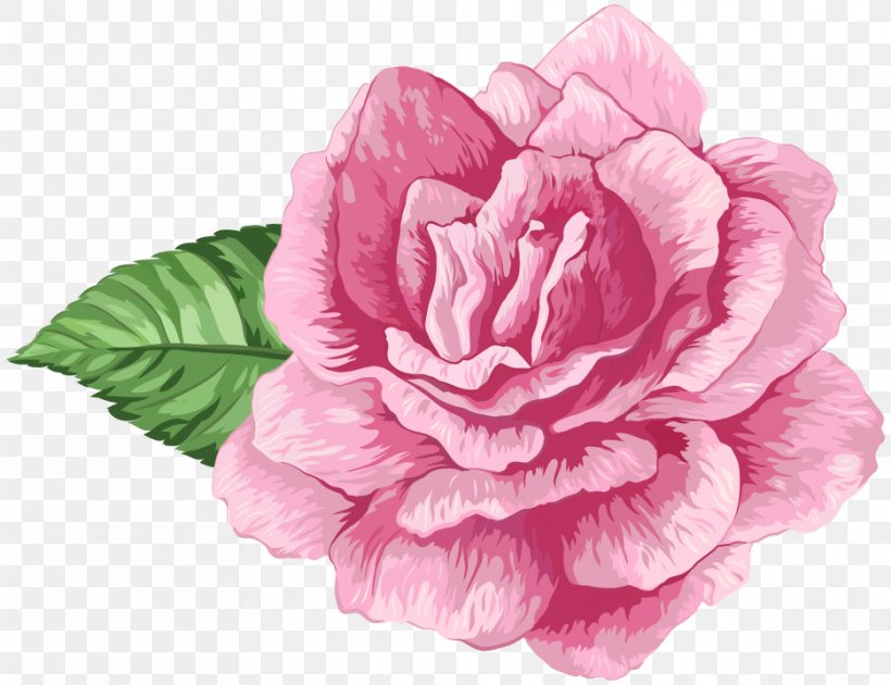 Cabbage Rose Garden Roses Clip Art, PNG, 935x719px, Cabbage Rose, Camellia, Cut Flowers, Drawing, Flower Download Free